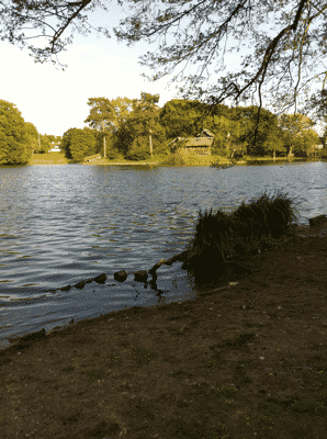 slotsparken hillerød slotsparken hillerød