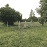 Hundeengen ved Vallensbæk Strandpark Hundeengen ved Vallensbæk Strandpark