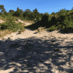 Hundeskoven ved Tverstedsøerne (Bindslev)