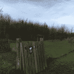 Præstø Hundeskov Præstø Hundeskov