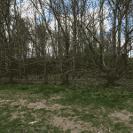 Auning Hundepark Auning Hundepark