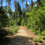 Nordskov Hundeskov Silkeborg Nordskov Hundeskov ved Silkeborg