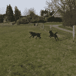 Vintersbølle overdrev Vintersbølle overdrev