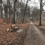 Hørsholm Slotshave Hørsholm Slotshave Hundeskov