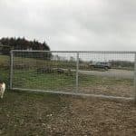 Kær Vestermark Hundehegn ved Sønderborg