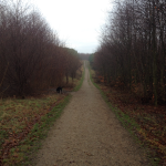 Klosterskov Hundeskov Klosterskov Hundeskov