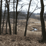 Sjøstrup Hundeskov v. Aars Sjøstrup Hundeskov v. Aars