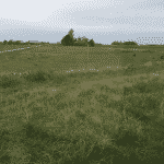 Nordskoven Slagelse Hundeskov Nordskoven Slagelse Hundeskov