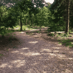 Skive Plantage Skive Plantage Hundeskov