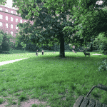 Ågadeparken fritløbsområde Ågadeparken fritløbsområde