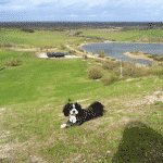 Hedeland Hedeland Hundeskov