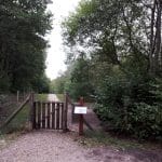 Undallslund hundeskov Undallslund hundeskov ved Viborg