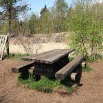 Tvis Hundeskov