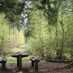 Ulvedal Plantage – Alheden Hundeskov Ulvedal Plantage Hundeskov ved Karup