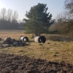 Pedershaab Hundeskov Pedersthaab Hundeskov i Brønderslev