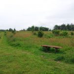 Hjørring Bjerge – hundemark Hjørring Bjerge - hundemark