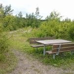 Krogsbølle hundeskov Krogsbølle hundeskov