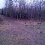 Gullestrup Hundeskov Gullestrup Hundeskov