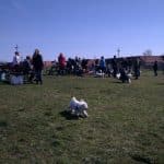 Hundemark i Mulighedernes Park Aalborg