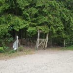 Palmelunden, Gludsted Plantage hundeskov ved Hampen