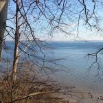 Nederstjernen Hundeskov – Gråsten Nederstjernen ved Gråsten Hundeskov